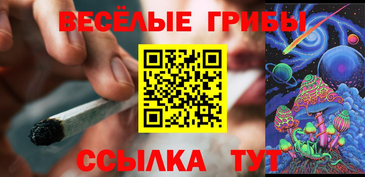 Псилоцибиновые грибы ЛСД  Псилоцибиновые грибы Cubensis  Вход с VPN  сколько стоит  Саянск 
